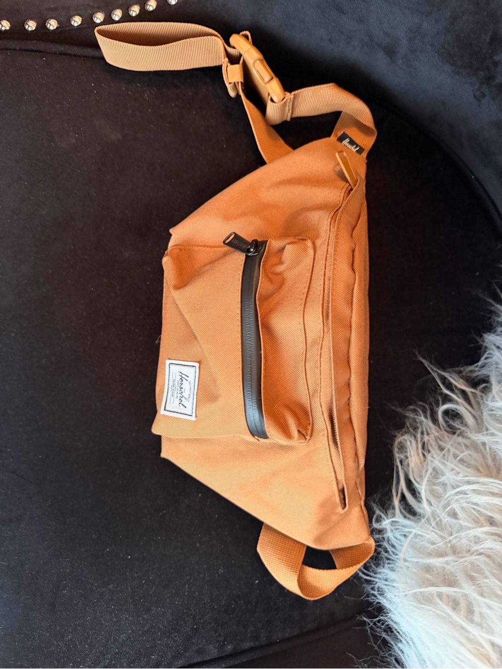 Hershel Hip Pack